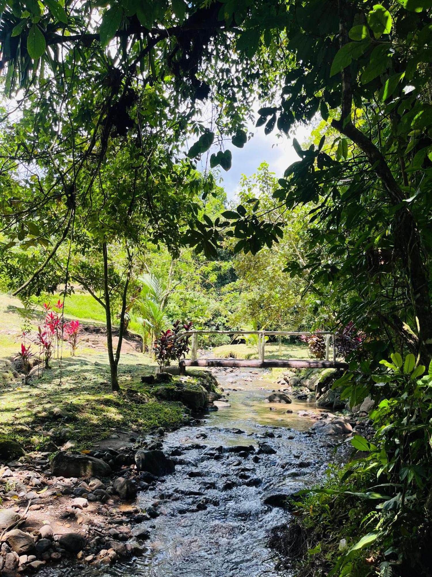 Wellness Park Cr Βίλα La Fortuna Εξωτερικό φωτογραφία
